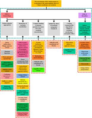 Interaction Between Chinese Medicine and Warfarin: Clinical and Research Update